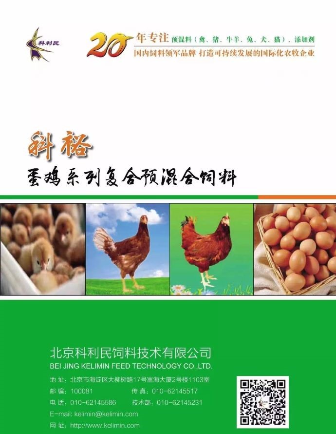 ��ϵ����